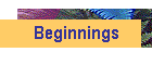 Beginnings
